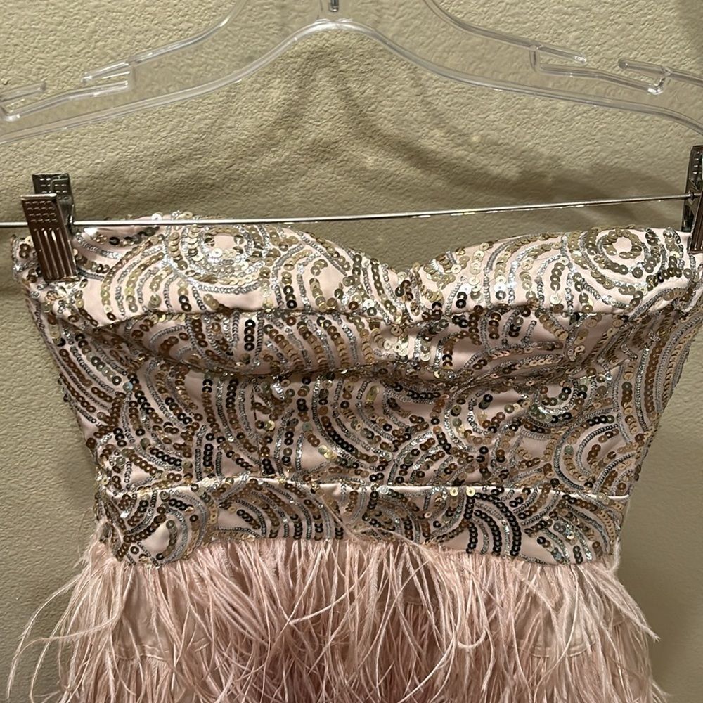 Bebe strapless fringe and sequin dress. Top is gold and the fringe is light pink - Picture 5 of 11